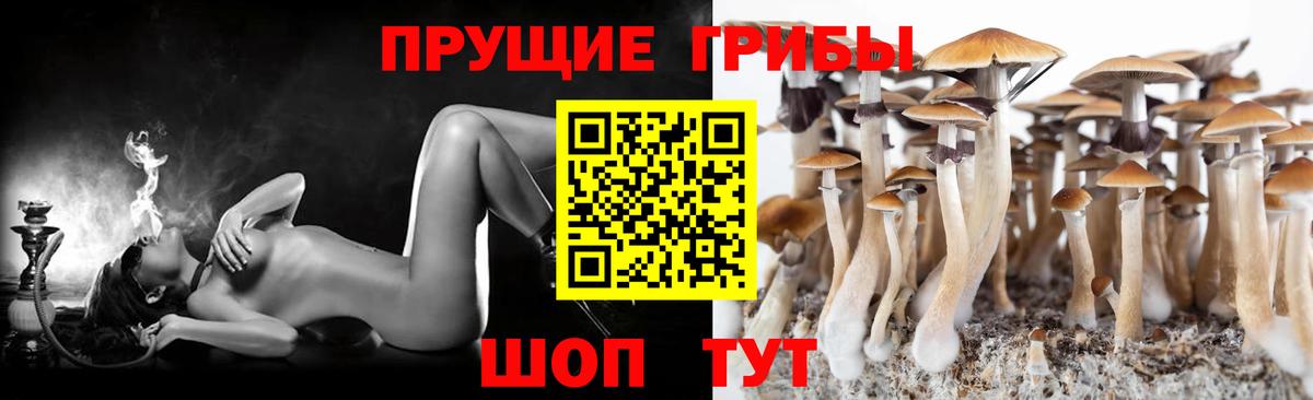 Галлюциногенные грибы Psilocybe  Вход с VPN  Тюмень 